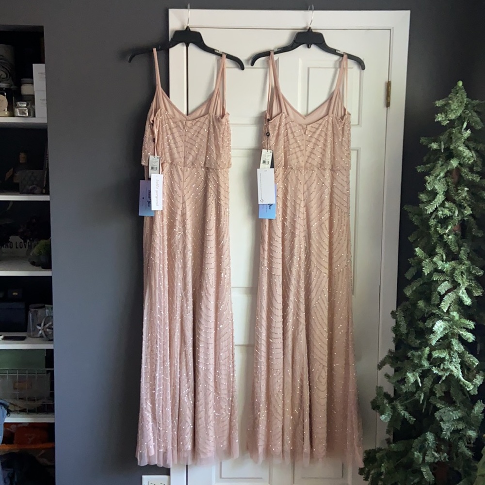 NWT Adrianna Papell Blush Blouson Dress Size 10